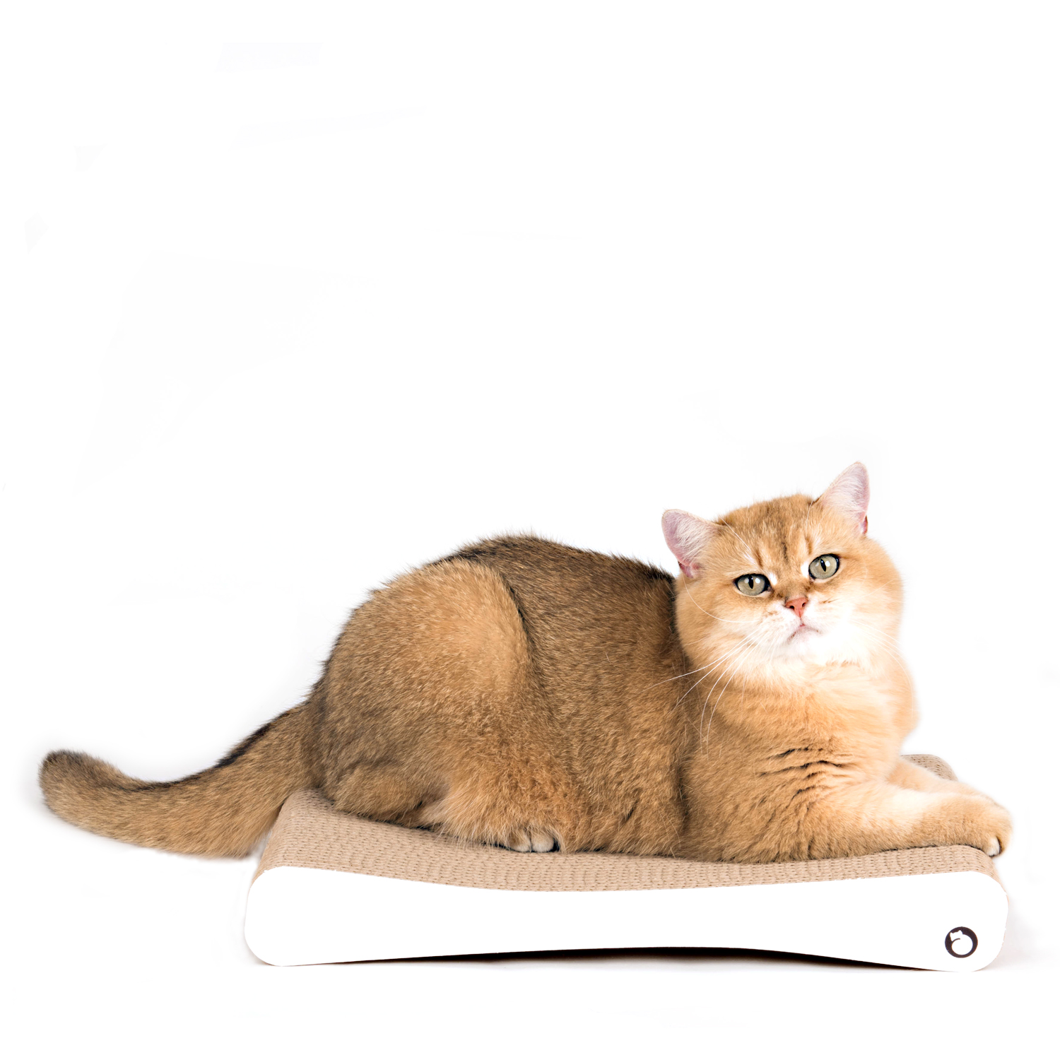 Katzenmoebel für Katzen 44 cm weiss