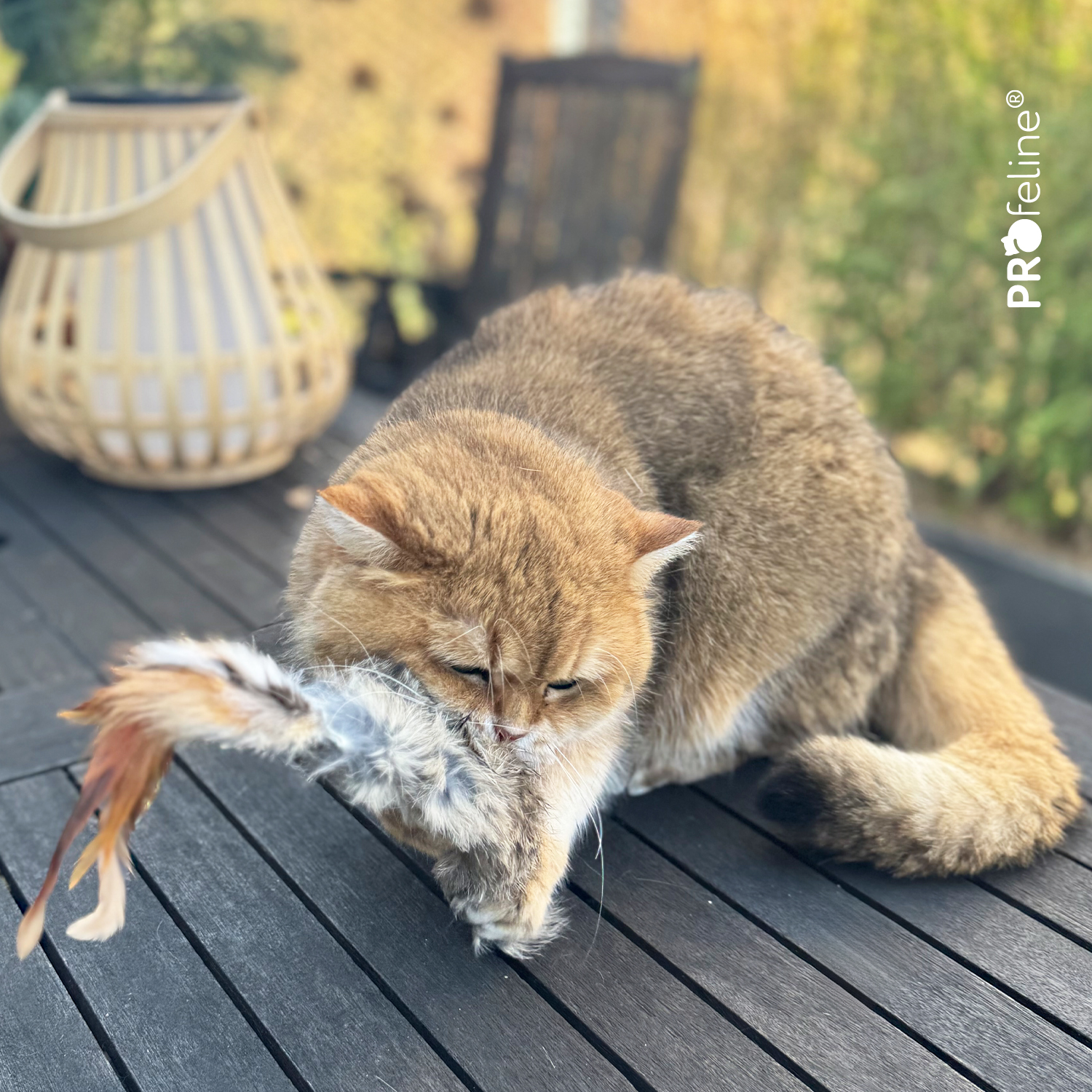 Echtfell Katzenspielzeug Wild Fur Buster