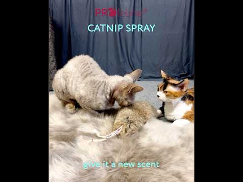 From The Field - Catnip Spray